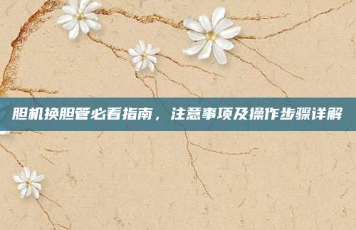 胆机换胆管必看指南,注意事项及操作步骤详解