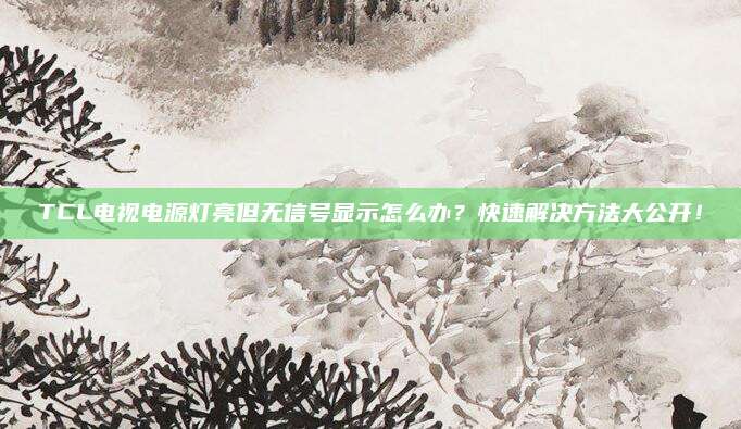 TCL电视电源灯亮但无信号显示怎么办?快速解决方法大公开!
