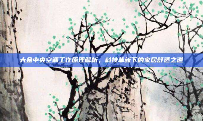 大金中央空调工作原理解析,科技革新下的家居舒适之道