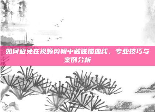 如何避免在视频剪辑中触碰猫血线,专业技巧与案例分析