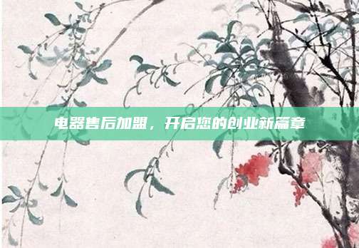 电器售后加盟,开启您的创业新篇章