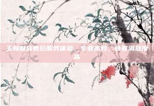 玉林魅族售后服务体验,专业高效,顾客满意度高