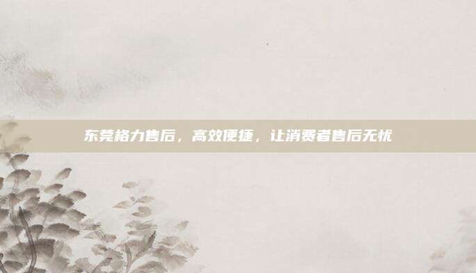 东莞格力售后,高效便捷,让消费者售后无忧