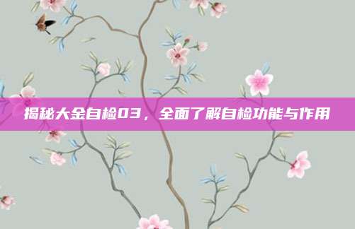 揭秘大金自检03,全面了解自检功能与作用