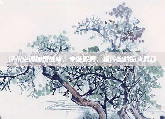 漳州空调加氨维修,专业服务,保障您的凉爽夏日