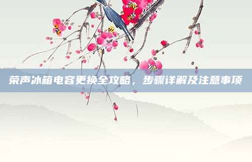 荣声冰箱电容更换全攻略,步骤详解及注意事项