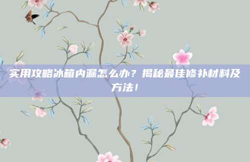 实用攻略冰箱内漏怎么办?揭秘最佳修补材料及方法!