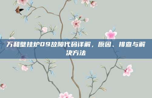 万和壁挂炉09故障代码详解,原因、排查与解决方法