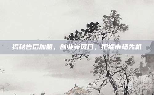 揭秘售后加盟,创业新风口,把握市场先机