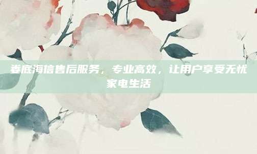 娄底海信售后服务,专业高效,让用户享受无忧家电生活