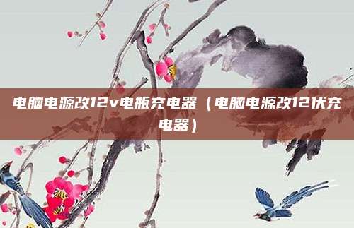 电脑电源改12v电瓶充电器(电脑电源改12伏充电器)