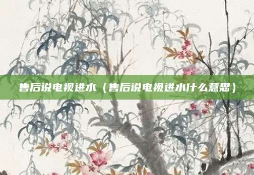 售后说电视进水（售后说电视进水什么意思）