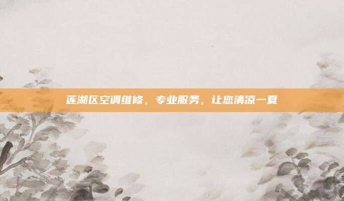 莲湖区空调维修,专业服务,让您清凉一夏