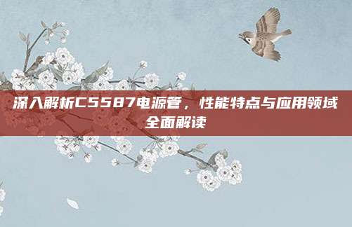 深入解析C5587电源管，性能特点与应用领域全面解读
