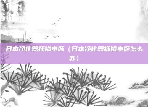 日本净化器插错电源（日本净化器插错电源怎么办）