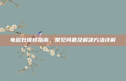 电磁灶维修指南,常见问题及解决方法详解