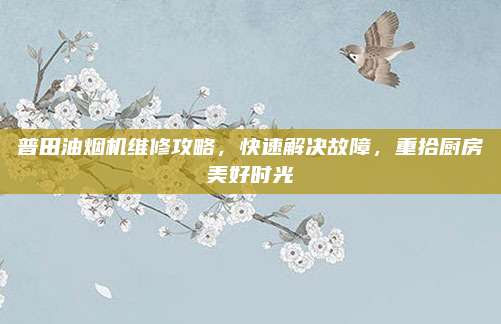 普田油烟机维修攻略,快速解决故障,重拾厨房美好时光