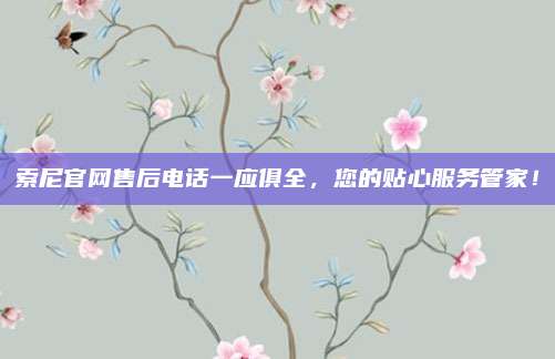 索尼官网售后电话一应俱全,您的贴心服务管家!