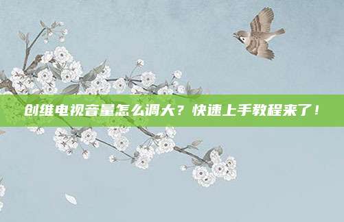 创维电视音量怎么调大?快速上手教程来了!