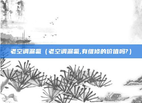 老空调漏氟（老空调漏氟,有维修的价值吗?）