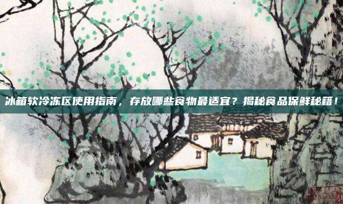 冰箱软冷冻区使用指南,存放哪些食物最适宜?揭秘食品保鲜秘籍!