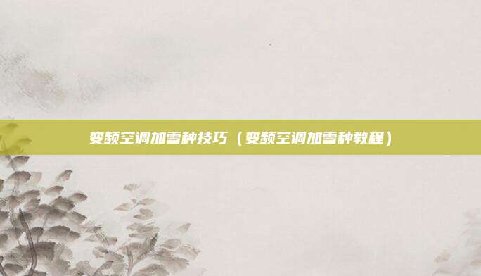 变频空调加雪种技巧（变频空调加雪种教程）