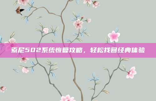 索尼502系统恢复攻略,轻松找回经典体验