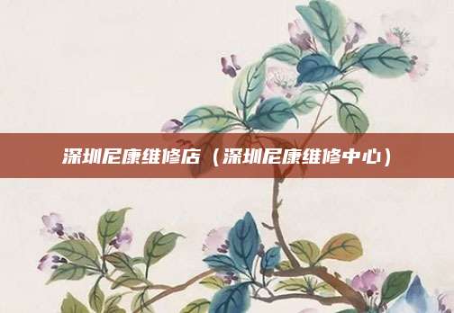 深圳尼康维修店（深圳尼康维修中心）