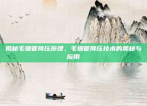 揭秘毛细管降压原理,毛细管降压技术的奥秘与应用