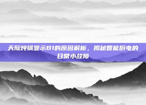 天际炖锅显示B1的原因解析,揭秘智能厨电的日常小故障