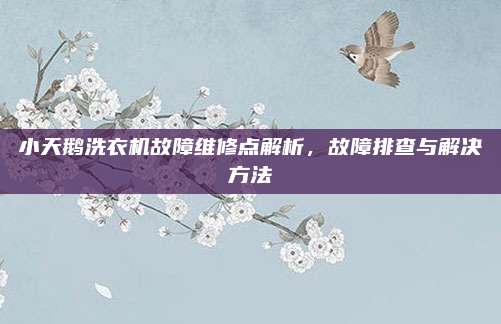 小天鹅洗衣机故障维修点解析,故障排查与解决方法