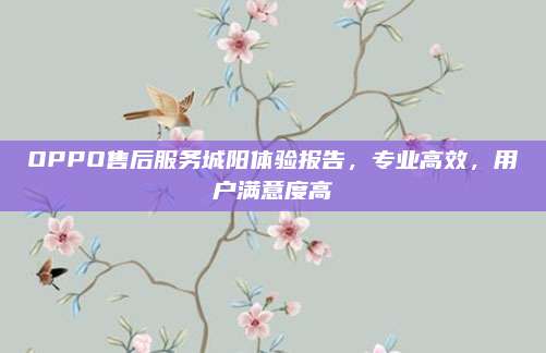 OPPO售后服务城阳体验报告,专业高效,用户满意度高