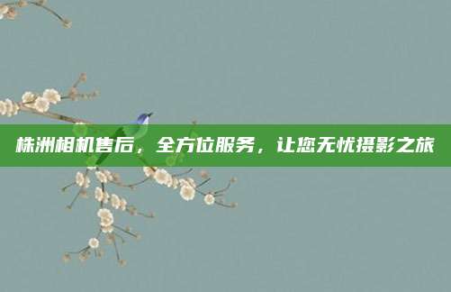 株洲相机售后,全方位服务,让您无忧摄影之旅