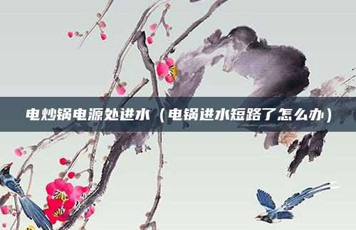 电炒锅电源处进水（电锅进水短路了怎么办）