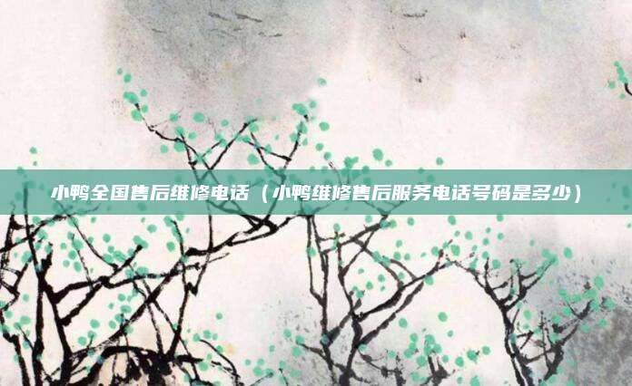 小鸭全国售后维修电话（小鸭维修售后服务电话号码是多少）