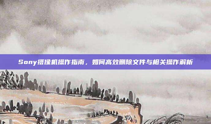 Sony摄像机操作指南,如何高效删除文件与相关操作解析