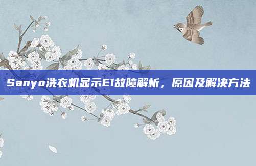 Sanyo洗衣机显示E1故障解析，原因及解决方法