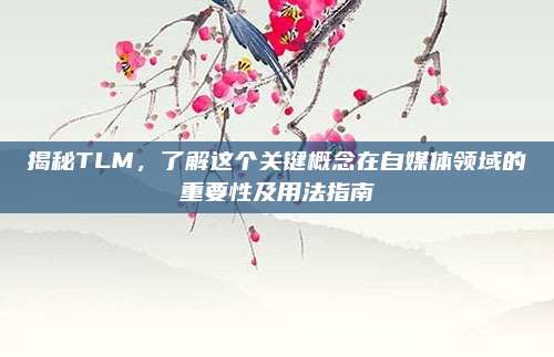 揭秘TLM,了解这个关键概念在自媒体领域的重要性及用法指南