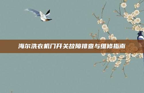 海尔洗衣机门开关故障排查与维修指南