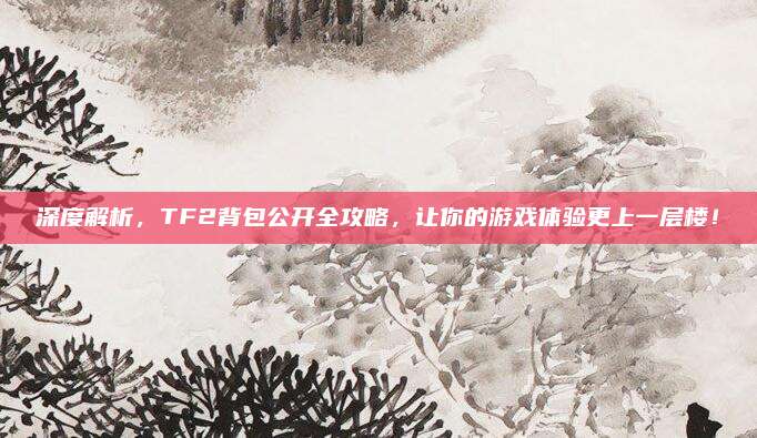 深度解析,TF2背包公开全攻略,让你的游戏体验更上一层楼!