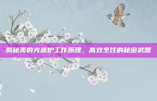揭秘美的光波炉工作原理,高效烹饪的秘密武器