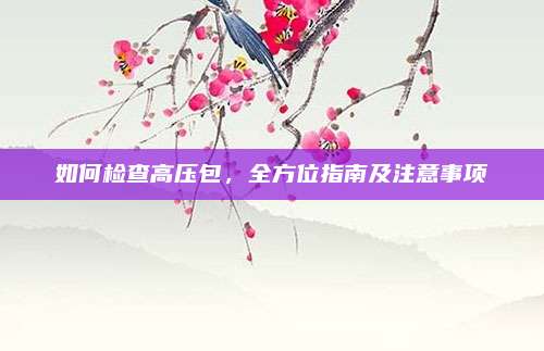 如何检查高压包,全方位指南及注意事项