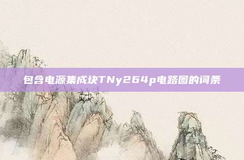 包含电源集成块TNy264p电路图的词条