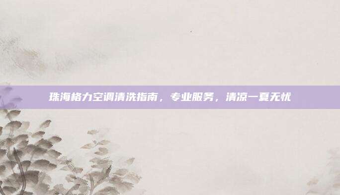 珠海格力空调清洗指南,专业服务,清凉一夏无忧