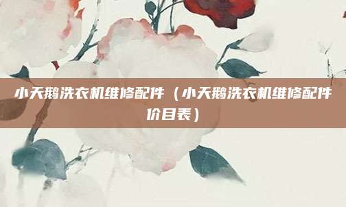 小天鹅洗衣机维修配件（小天鹅洗衣机维修配件价目表）