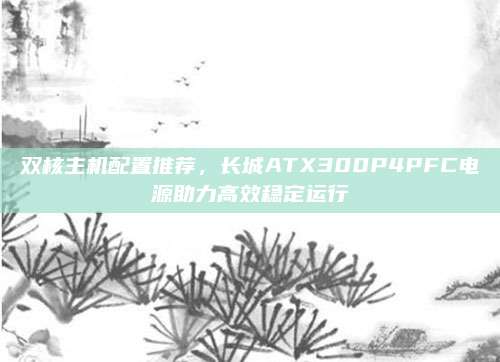 双核主机配置推荐,长城ATX300P4PFC电源助力高效稳定运行