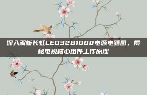 深入解析长虹LED32B1000电源电路图,揭秘电视核心组件工作原理