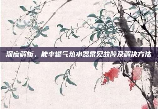 深度解析,能率燃气热水器常见故障及解决方法