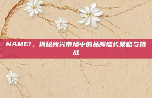 NAME?,揭秘新兴市场中的品牌增长策略与挑战