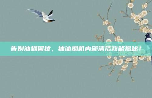 告别油烟困扰,抽油烟机内部清洁攻略揭秘!